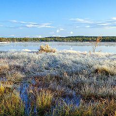 фото "Морозное утро"