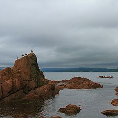 фото "Перемена погоды"