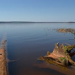 фото "Весенним утром..."