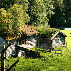 photo "Mountain farm."