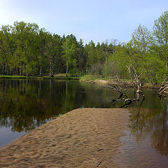 photo "Ubort river"