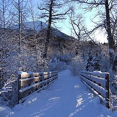 фото "Снежный мост"