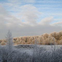 photo "Winter walks."