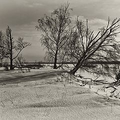 фото "Зимняя полуденная"