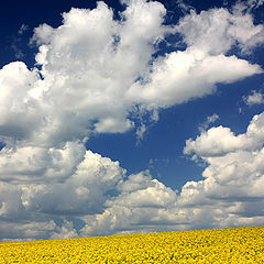 photo "Parade of clouds II"