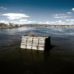 фото "Island in the Stream"