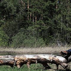 фото "В обьятиях морфея..."