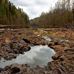 фото "Карелия. май месяц"