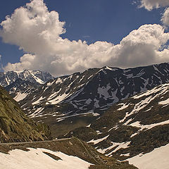 photo "Summer in the Alps"