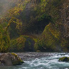 photo "River, boulders, and fog..."