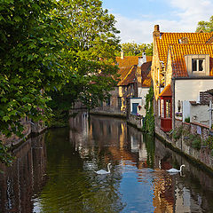 photo "Brugge"