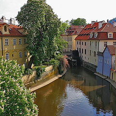 photo "Spring In Prague 1"