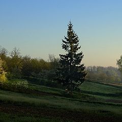 фото "Раннее утро"