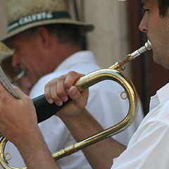 photo "very attentive to the music"