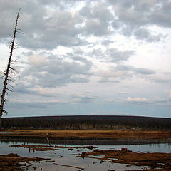 фото "Гиблое место"