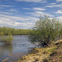 фото "Весенняя"