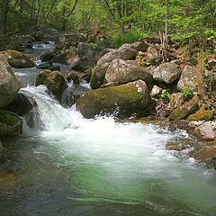 фото "Зелёная вода"