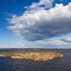 фото "Островки"