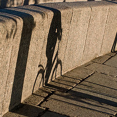 photo "***"