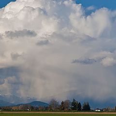 photo "Spring rain"