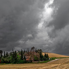 фото "Предчувствие"