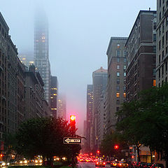 photo "The fog over the Park Avenue"