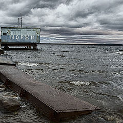 фото "Здесь могут водиться..."