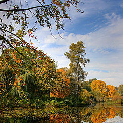 photo "Fall reflections"