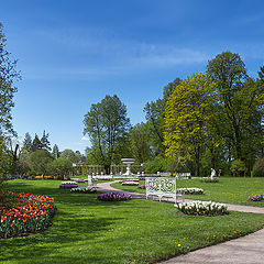 photo "Spring Park"