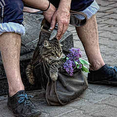 фото "в подарок"