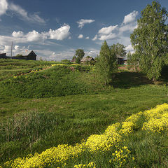 фото "Цветочная тропинка"