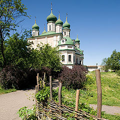 фото "За плетнем"