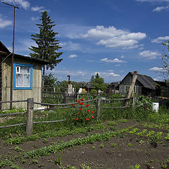 фото "Июнь..."