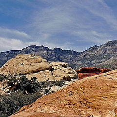 photo "Red Rock Canyon"