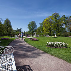 photo "invitation to sit on the bench"