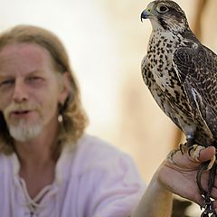 photo "The falconer"