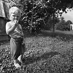 photo "A boy with an orange."