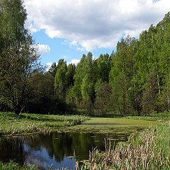 фото "Лето пришло"