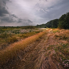 фото "Июнь приазовский"