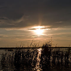 photo "The Solar track."