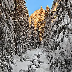 фото "Золотой закат"