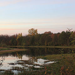 photo "October. Twilight."