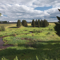 фото "Цветные тени лета"