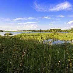 фото "Родные просторы"