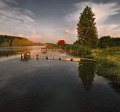 фото "Летняя зарисовка"