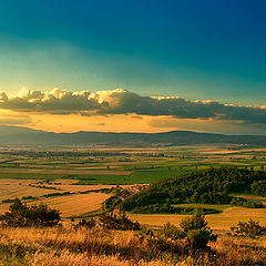 photo "The colors of a summer morning"