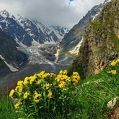 фото "Горный букет"