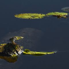 photo "Islands... ?"