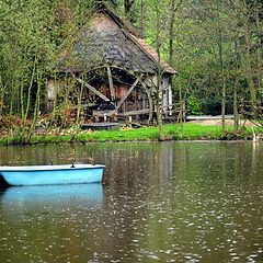 photo "a rainy day"