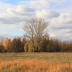 фото "Краски осени"